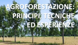 Formazione tecnici e consulenti su agroforestazione in Veneto